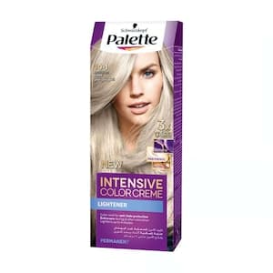 Palette Intensive Color Creme 10-1 Frosty Silver Blonde Special Price