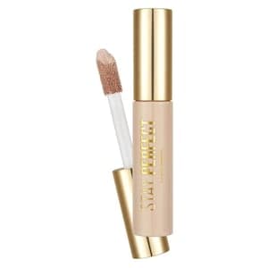 Flormar Stay Perfect Semi-Matte Finish Liquid Concealer, 004 Ivory