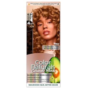Garnier Color Naturals Hair Color 6.31 Chestnut Blonde Permanent Hair Dye With Nourishing Oils