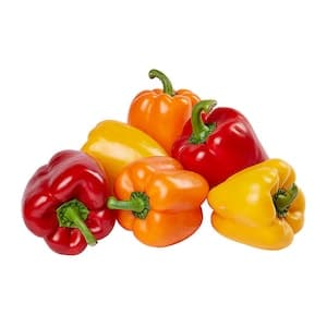 Mixed Capsicums Import 400g