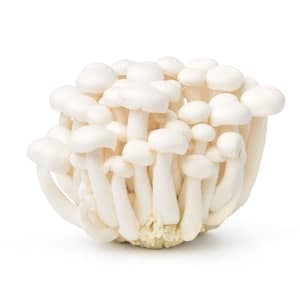 White Shimeji Mushroom