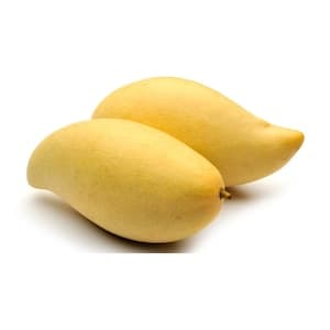 Mango Yellow