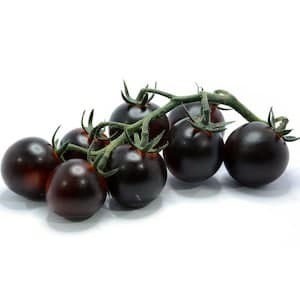 Yoom Tomato 300g