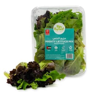 Pure Harvest Mighty Lettuce Mix Salad 125g
