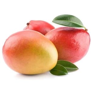 Mango Kent Import