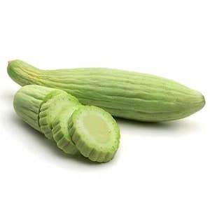 Wild Cucumber