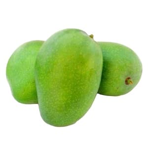Mango Rajapuri