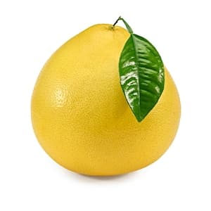 Pomelo