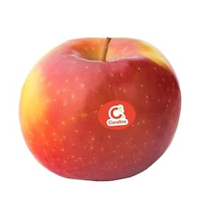 Apple Candine