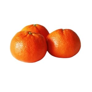 Mandarin Murcott
