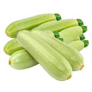 Marrow