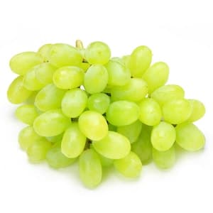 White Seedless Grapes Import