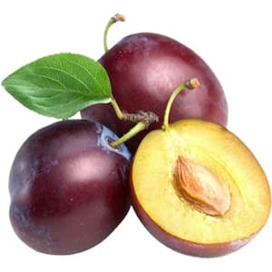 Plum Black