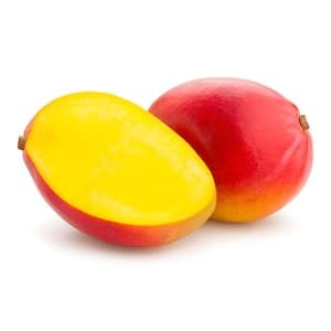 Mango Palmer Import